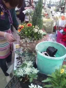 ワイヤープランツの剪定を行いました 花屋ブログ 和歌山県和歌山市の花屋 フラワーパーク ヨシモトにフラワーギフトはお任せください 当店は 安心と信頼の花キューピット加盟店です 花キューピットタウン