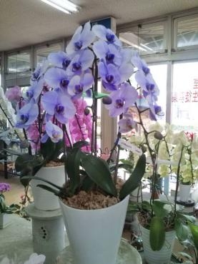 20140607133124