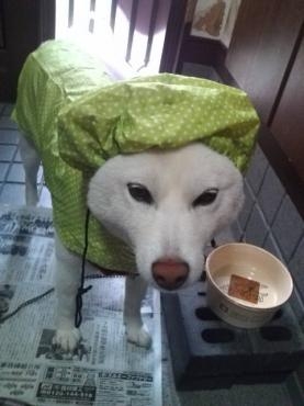20140618173429