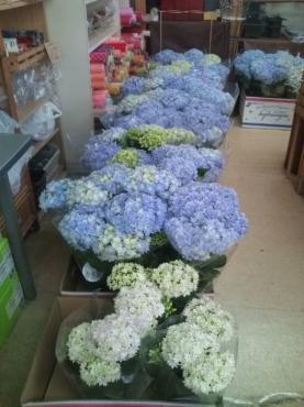 20150503133046