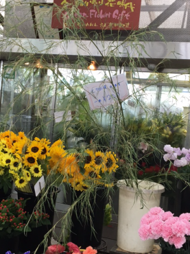 笹の葉入りました 花屋ブログ 和歌山県和歌山市の花屋 フラワーパーク ヨシモトにフラワーギフトはお任せください 当店は 安心と信頼の花キューピット加盟店です 花キューピットタウン