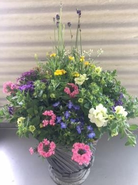 ５月８日の岩出寄せ植え教室 花屋ブログ 和歌山県和歌山市の花屋 フラワーパーク ヨシモトにフラワーギフトはお任せください 当店は 安心と信頼の花キューピット加盟店です 花キューピットタウン