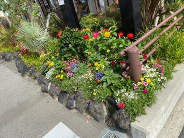 花壇の植え込みも行っております 花屋ブログ 和歌山県和歌山市の花屋 フラワーパーク ヨシモトにフラワーギフトはお任せください 当店は 安心と信頼の花キューピット加盟店です 花キューピットタウン