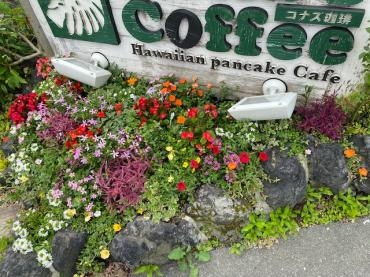 花壇の植え込みもしています 花屋ブログ 和歌山県和歌山市の花屋 フラワーパーク ヨシモトにフラワーギフトはお任せください 当店は 安心と信頼の花キューピット加盟店です 花キューピットタウン