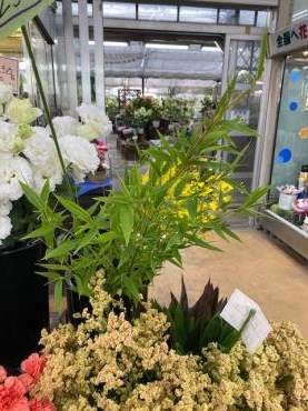 ササの葉入りました 花屋ブログ 和歌山県和歌山市の花屋 フラワーパーク ヨシモトにフラワーギフトはお任せください 当店は 安心と信頼の花 キューピット加盟店です 花キューピットタウン