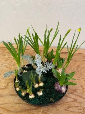 １月２４日岩出切り花教室|「フラワーパーク　ヨシモト」　（和歌山県和歌山市の花屋）のブログ