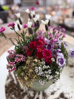 昨日は寄せ植え教室の日でした｜「フラワーパーク　ヨシモト」　（和歌山県和歌山市の花キューピット加盟店 花屋）のブログ