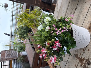 明日の寄せ植え教室、見本です｜「フラワーパーク　ヨシモト」　（和歌山県和歌山市の花キューピット加盟店 花屋）のブログ