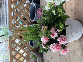 本日は寄せ植え教室の日でした｜「フラワーパーク　ヨシモト」　（和歌山県和歌山市の花キューピット加盟店 花屋）のブログ