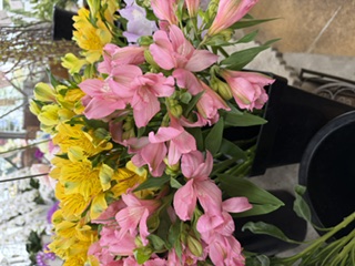 切り花入荷のご案内｜「フラワーパーク　ヨシモト」　（和歌山県和歌山市の花キューピット加盟店 花屋）のブログ