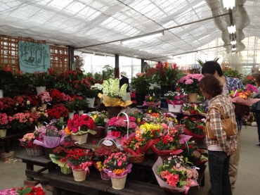 「フラワーパーク　ヨシモト」　（和歌山県和歌山市）の花屋店舗写真3
