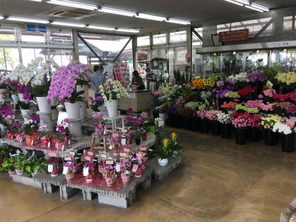 「フラワーパーク　ヨシモト」　（和歌山県和歌山市）の花屋店舗写真1