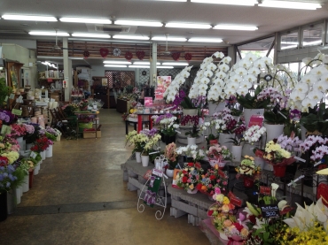 「フラワーパーク　ヨシモト」　（和歌山県和歌山市）の花屋店舗写真2